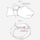 Imagen para el artículo titulado Apple patenta un sistema para sustituir la corona del Apple Watch